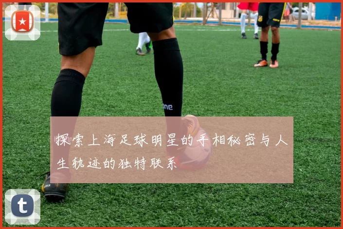 探索上海足球明星的手相秘密与人生轨迹的独特联系